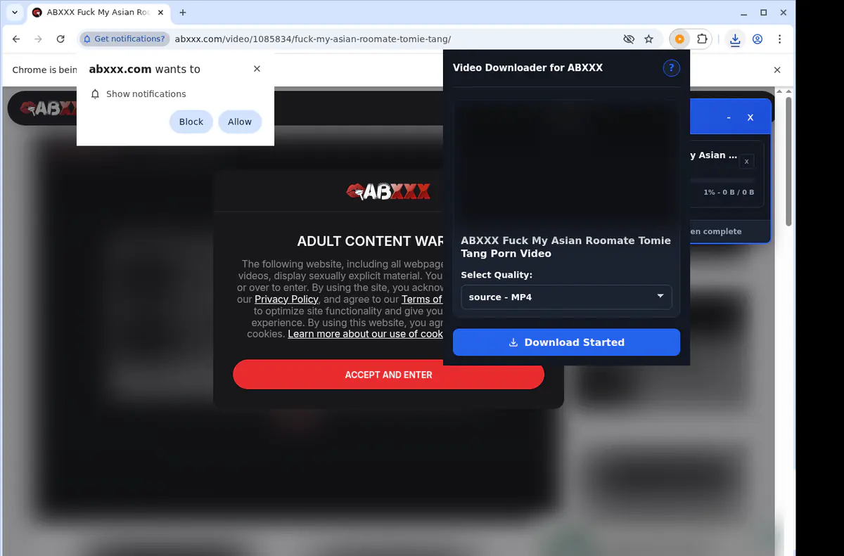 Abxxx Video Downloader screenshot 2