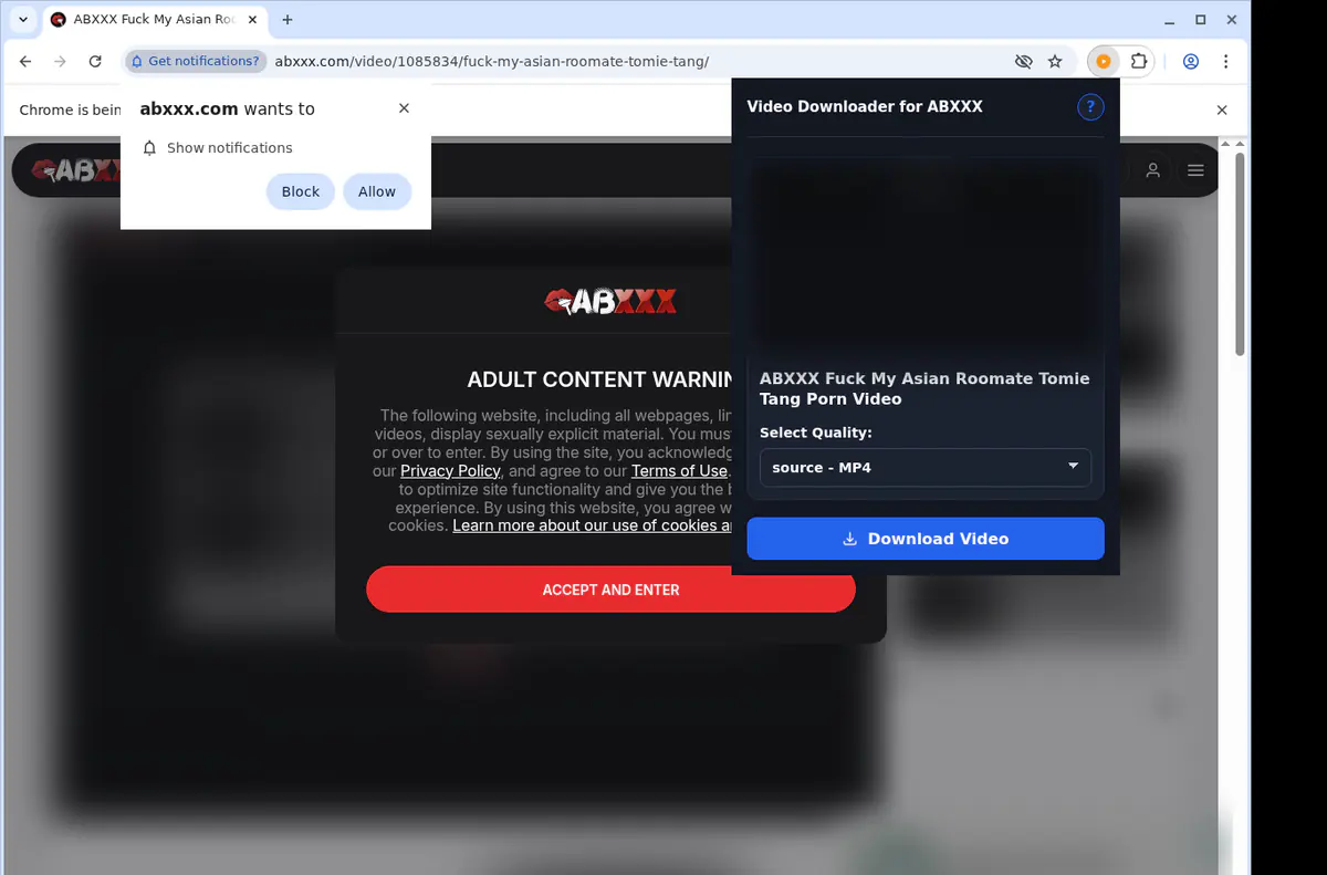 Abxxx Video Downloader screenshot 3
