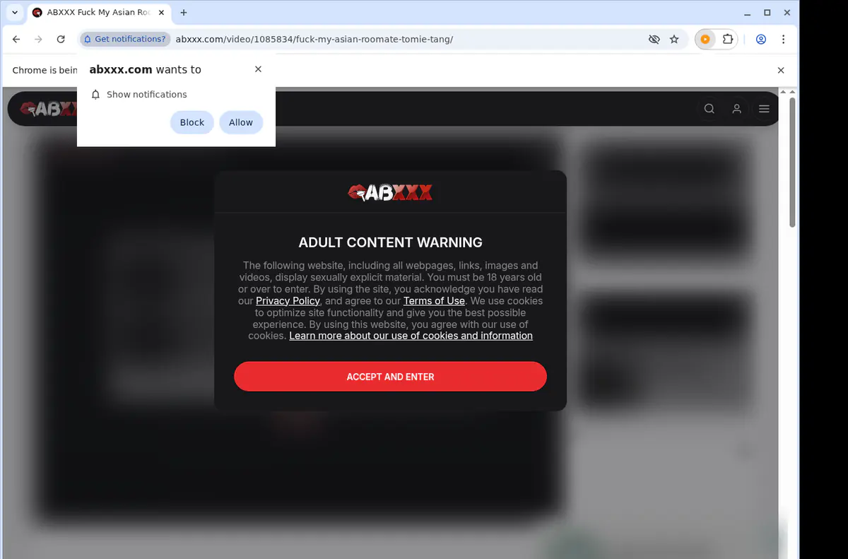 Abxxx Video Downloader screenshot 5